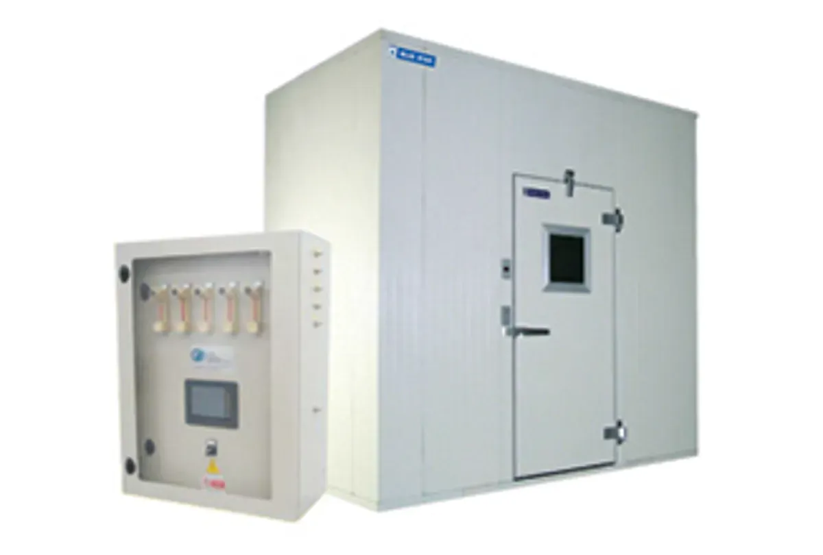  Banana Ripening Cold Rooms